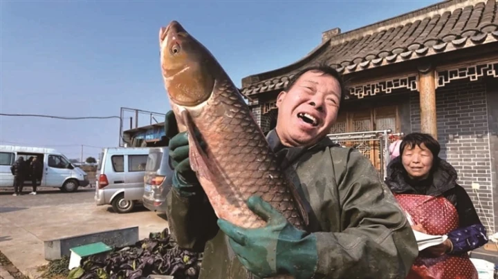 啟東王鮑鎮(zhèn)長(zhǎng)安村一派魚躍人歡豐收景象