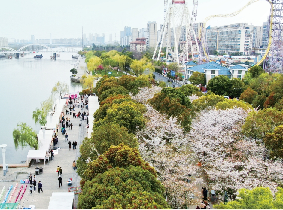 良辰美景櫻花市集啟幕  這場春日之約將持續(xù)至4月上旬